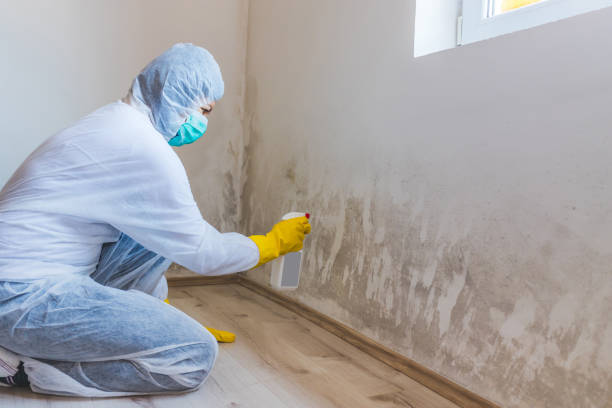 Licensed Mold Testing service in Southborough, MA - WQB Mold Removal
